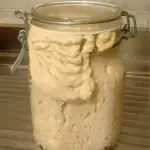 lievito madre