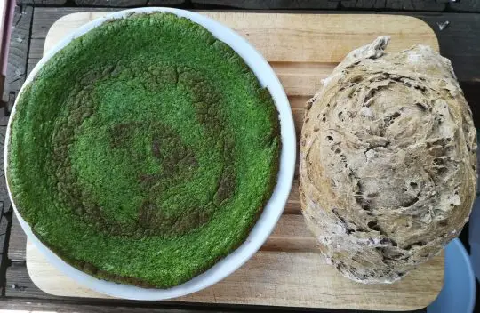 Frittata verde alle erbette e ementa