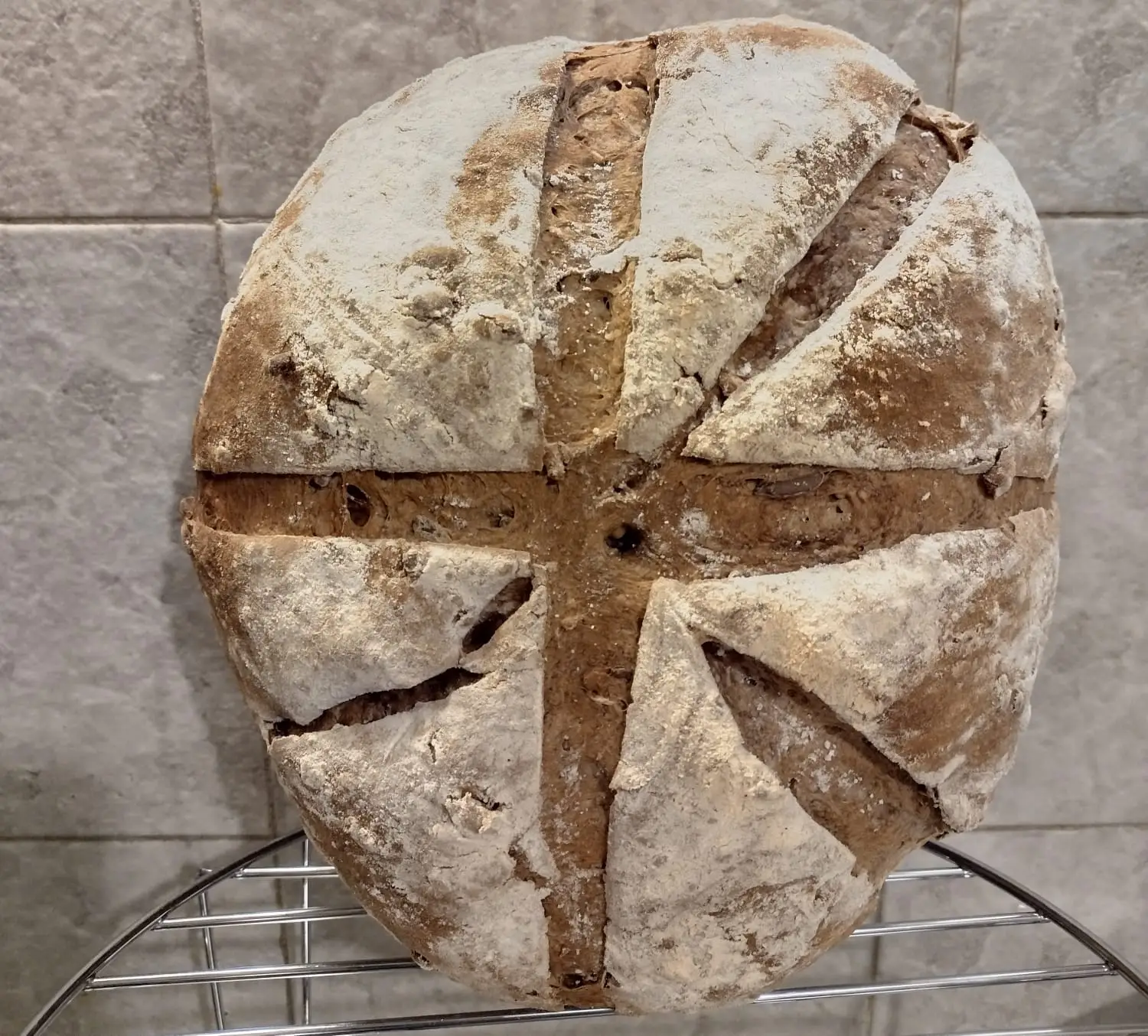 pane nero con semi - fase di raffreddamento in verticale