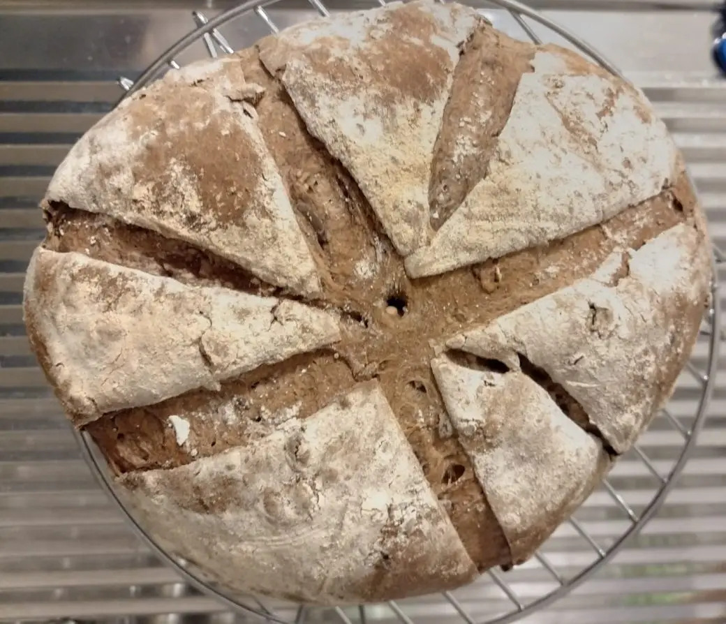 Pane nero con semi e lievito madre ()cottura in forno elettrico)