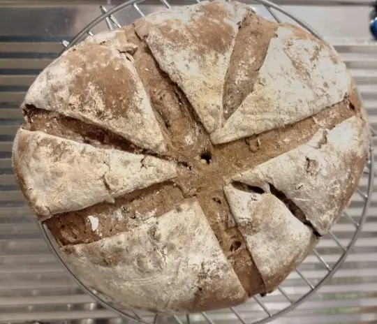 Pane nero con semi e lievito madre ()cottura in forno elettrico)